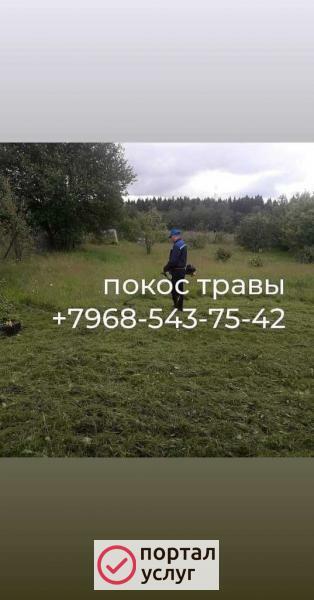 Фото Покос травы 