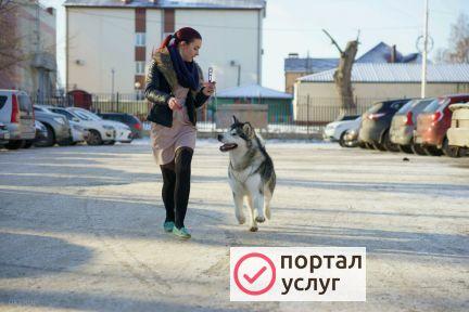 Фото Хендлер для вашей собаки
