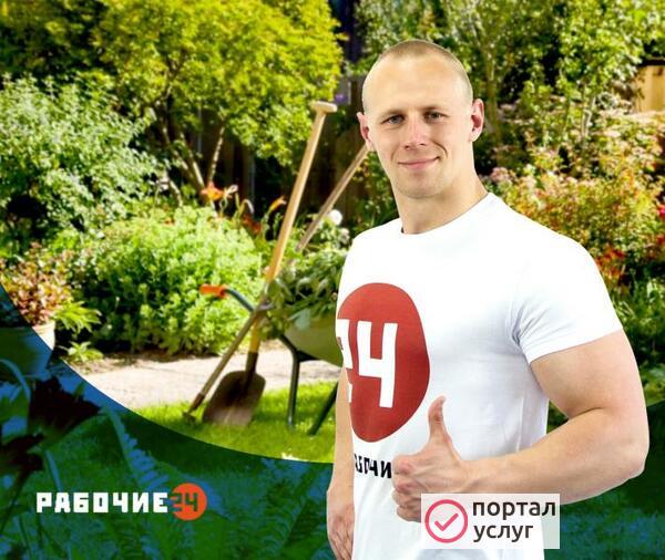 Фото Покос травы