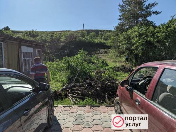 Фото спил деревьев Энгельс