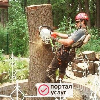 Фото Спил деревьев, покос травы 