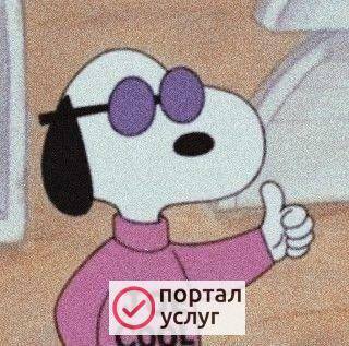 Фото Выгульщики собачек) 