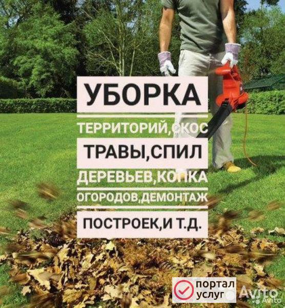 Фото Спил деревьев в Энгельс