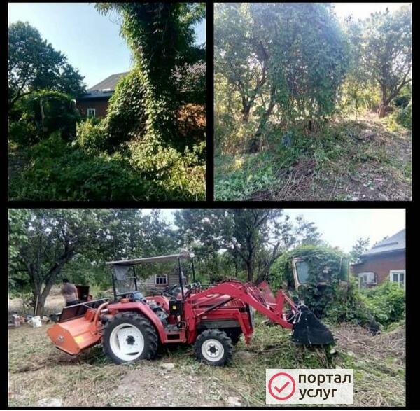 Фото Уборка запущенных участков