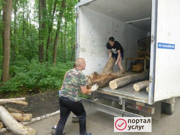 Фото Разнорабочие в Подольске. Услуги Разнорабочих!