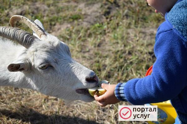 Фото Фотограф на все случаи жизни