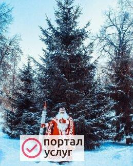 Фото Дед Мороз и Снегурочка
