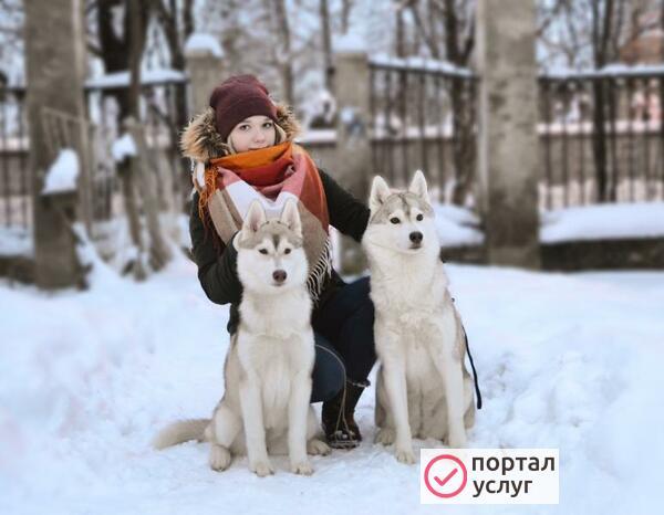 Фото Выгул собаки