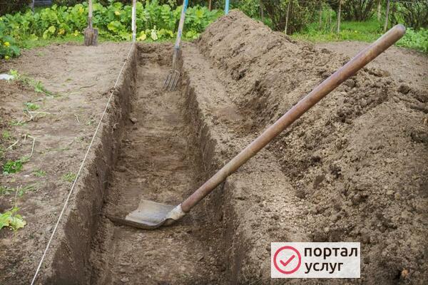 Фото Копка земли