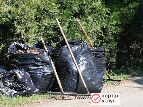 Фото Вывоз мусора