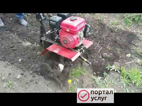 Фото Обработка земли мотоблоком 
