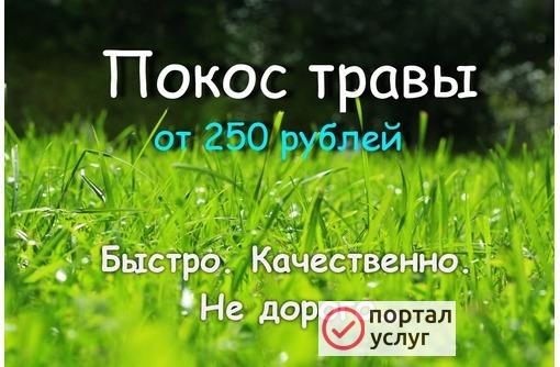 Фото Скашивание травы тримером 