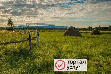 Фото Покос травы