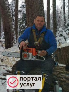 Фото Удаление деревьев