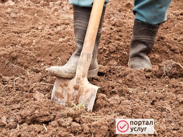 Фото Вспашка почвы(ручная копка) 