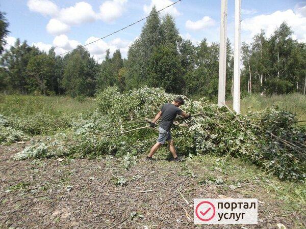 Фото Земляные работы 