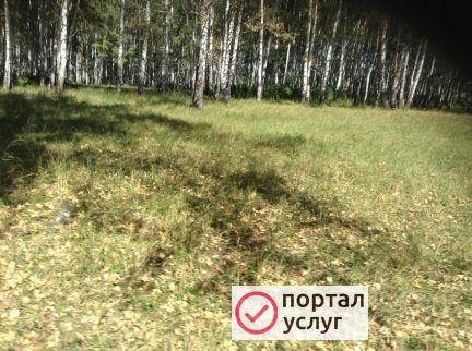 Фото Расчистка и выравнивание участков