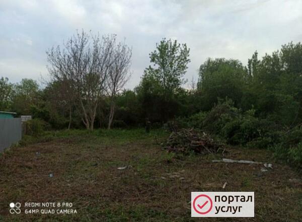 Фото Спил деревьев