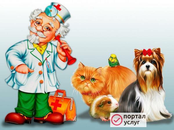 Фото Ветеринарный врач
