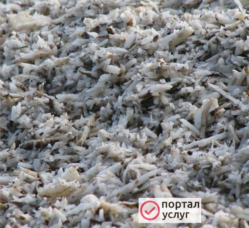 Фото Жом свекольный отжатый
