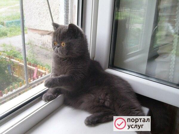 Фото РЕМОНТ ПЛАСТИКОВЫХ ОКОН