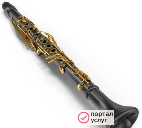 Фото Преподаватель музыки