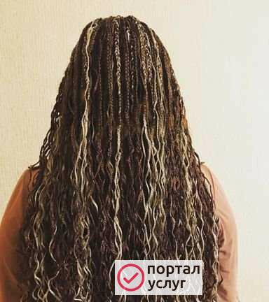 Фото Зизи