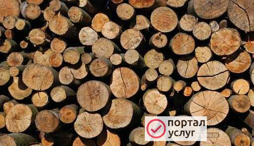 Фото Дрова