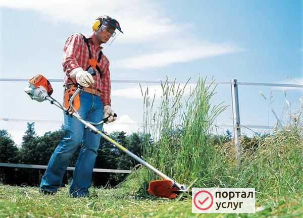 Фото Покос травы