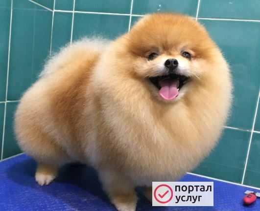 Фото Услуги вязки