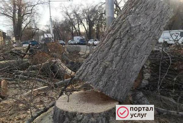 Фото Спил деревьев,обрезка