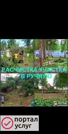 Фото Расчистка участников