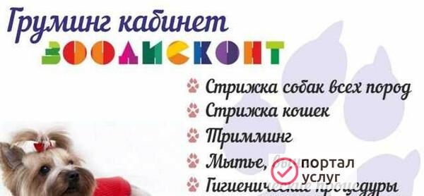 Фото Стрижка собак