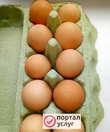 Фото Яйцо куриное