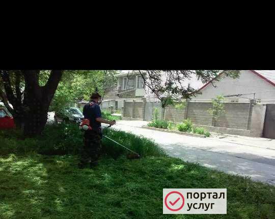 Фото Покос травы