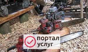 Фото Прокат бензопилы