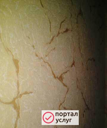 Фото Обои