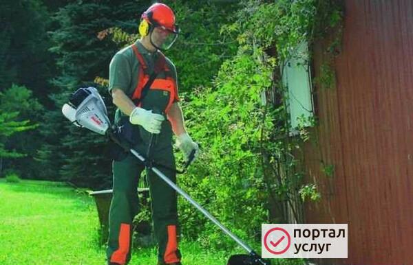 Фото Покос травы