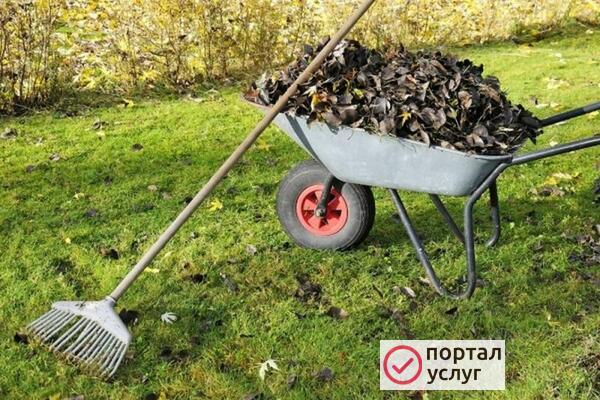 Фото Уборка территории по городу