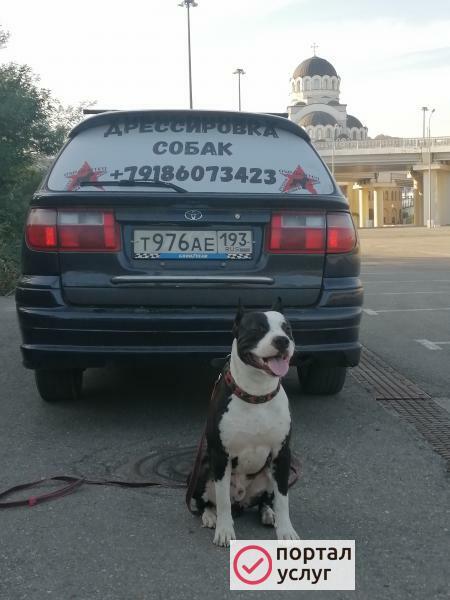Фото Кинолог 