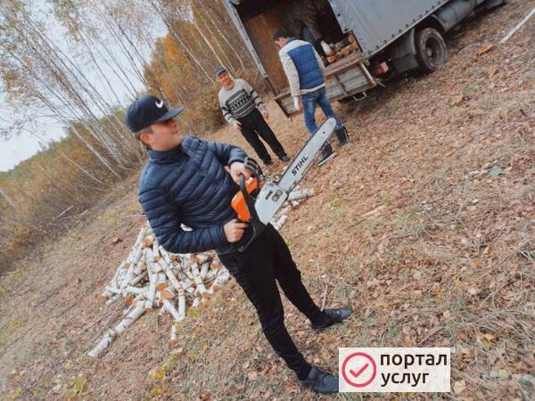 Фото Удаление Деревьев 