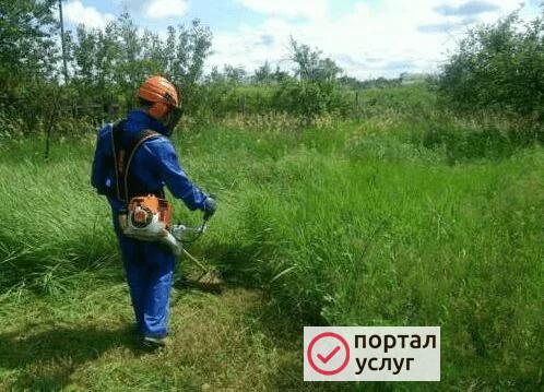 Фото Покос травы триммером