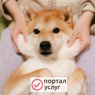 Фото Передержка