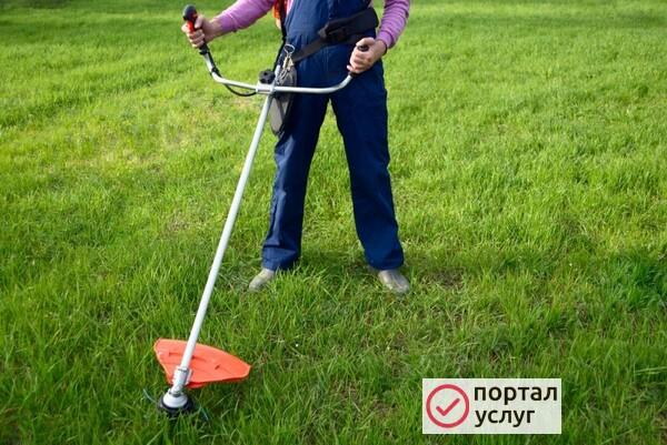 Фото Требуется газонокосильщик