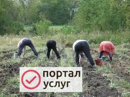 Фото Облагораживание территории