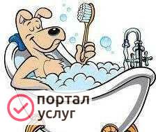 Фото Уход за домашним питомцем
