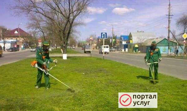 Фото Выкосим, прополим, уберем