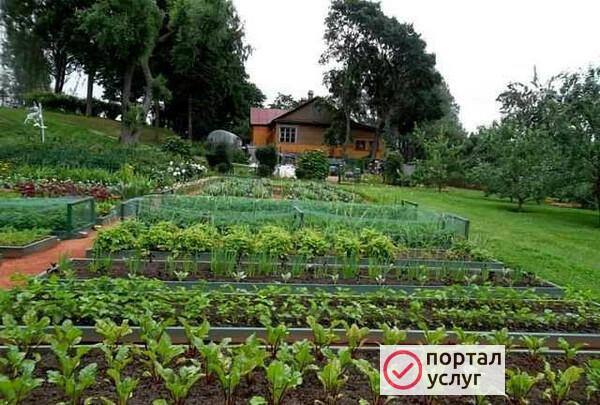 Фото Любые работы