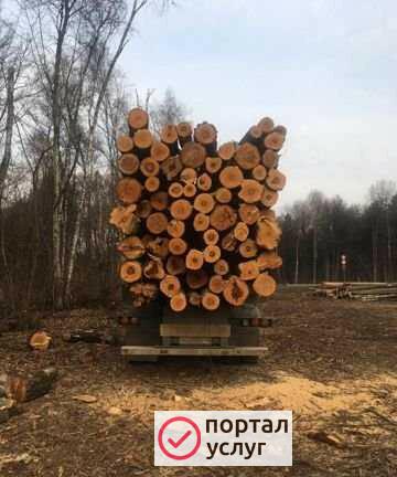 Фото Ремонт и стройтельство
