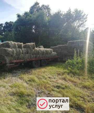 Фото Сено